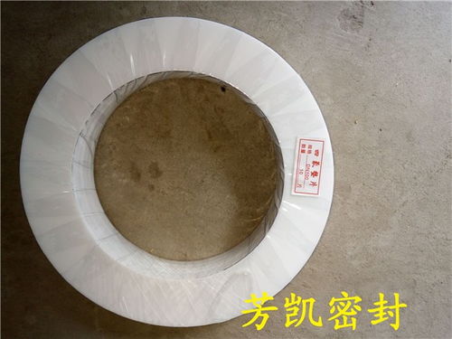 扎囊耐腐蝕四氟墊dn500多少錢